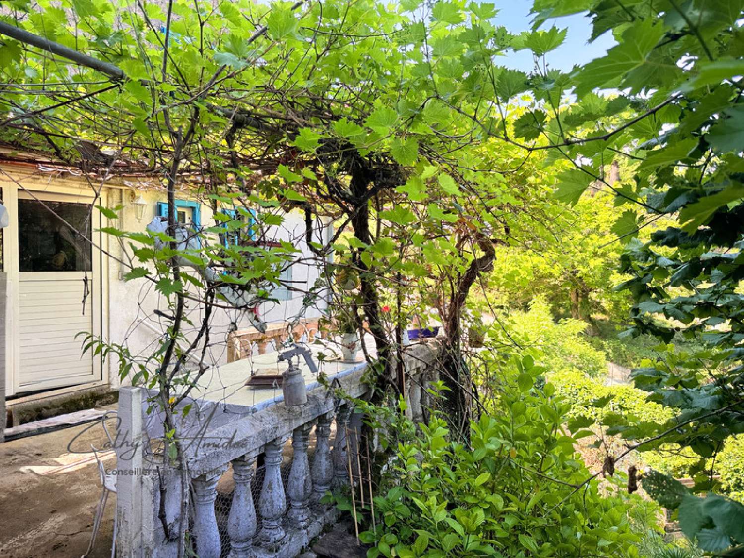 kaufen Haus Guagno Corse-du-Sud 5