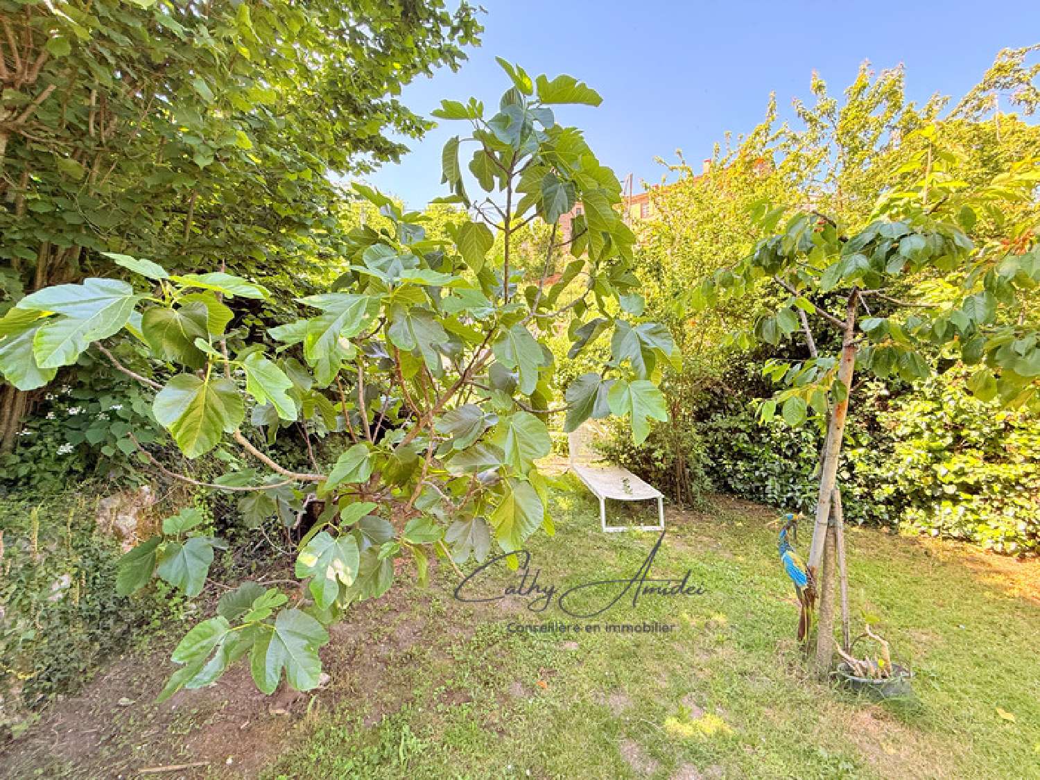 kaufen Haus Guagno Corse-du-Sud 7