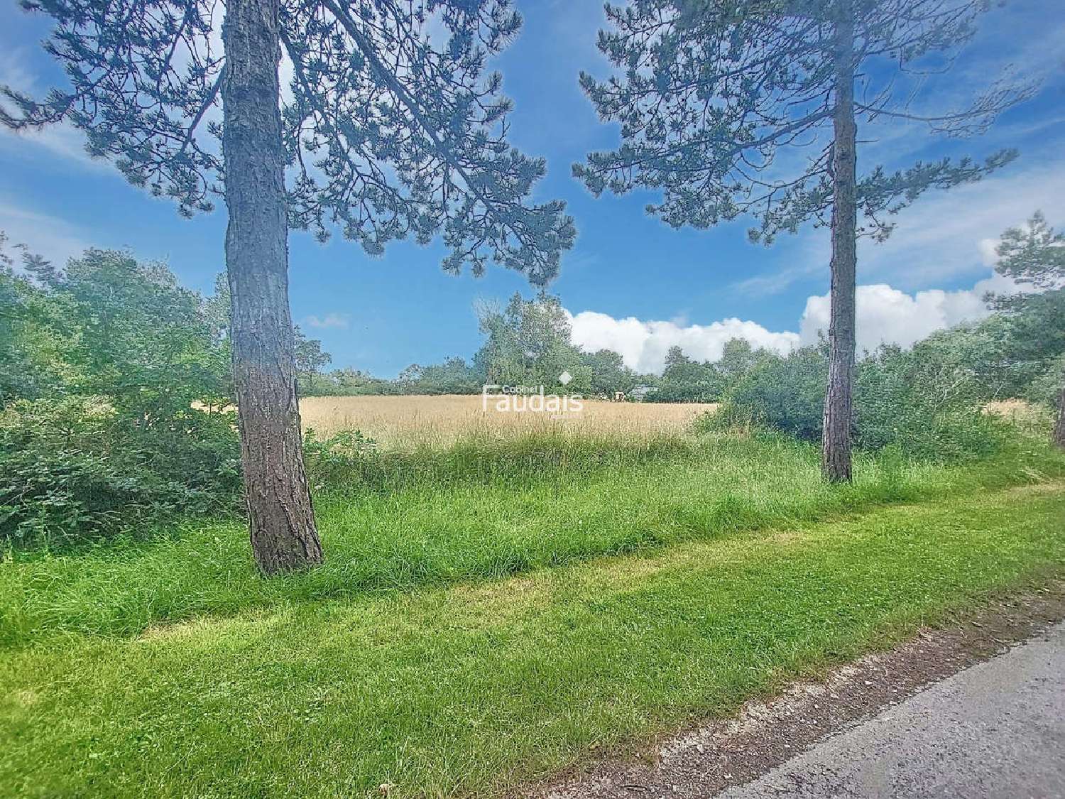 for sale house Hauteville-sur-Mer Manche 5