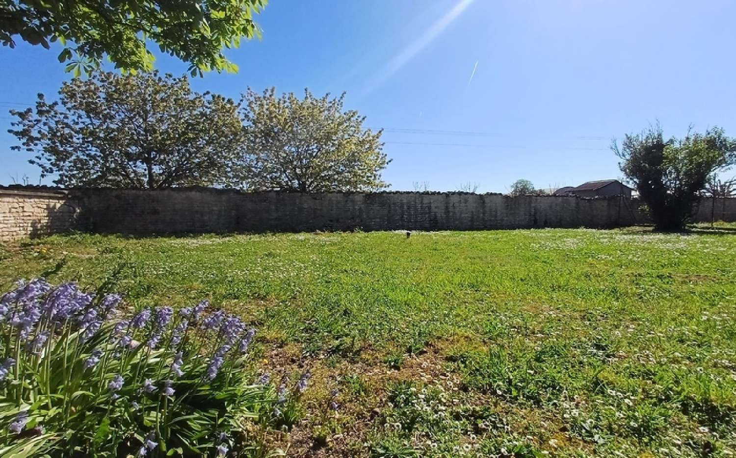 for sale house Houlette Charente 8