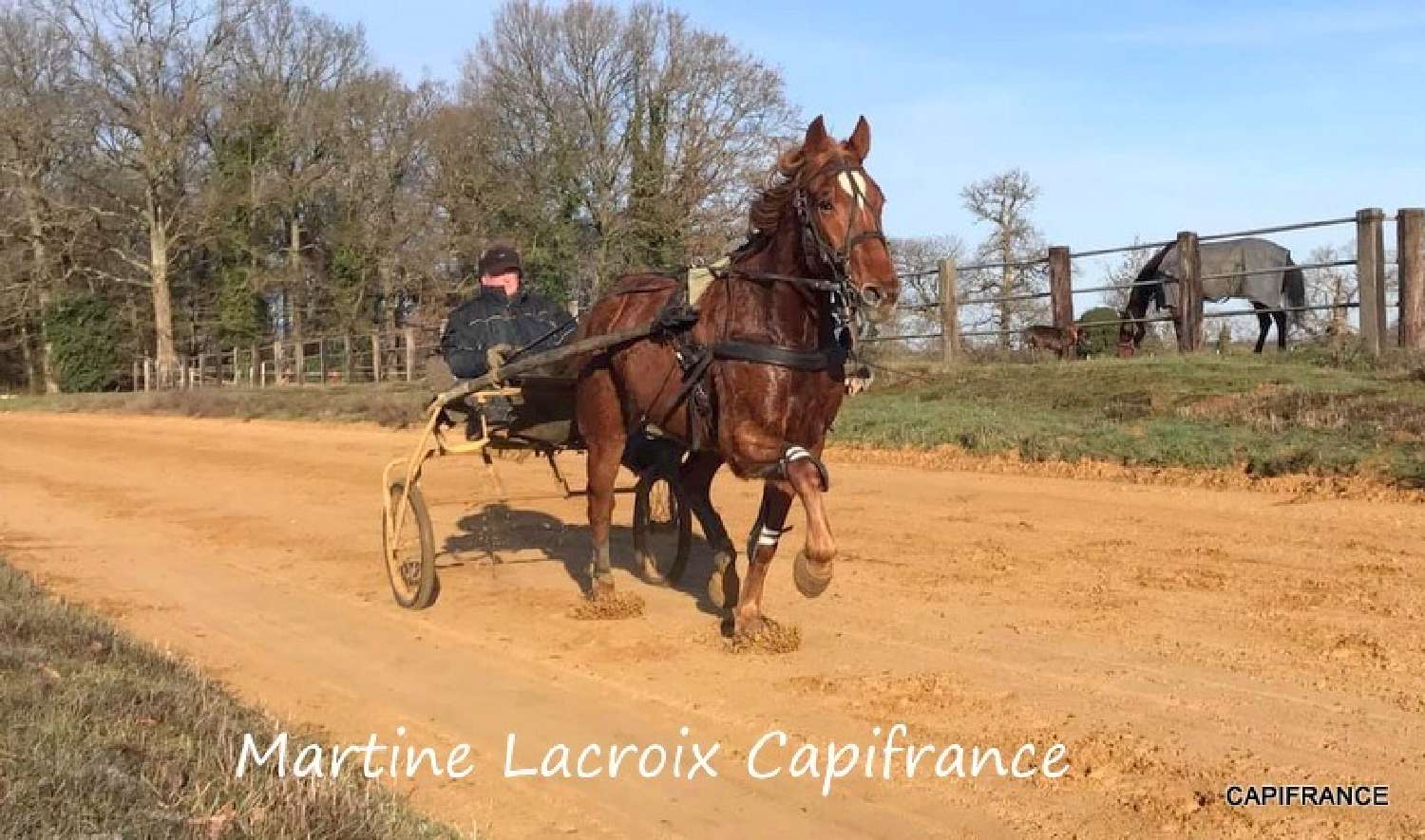 te koop huis La Ferté-Bernard Sarthe 7