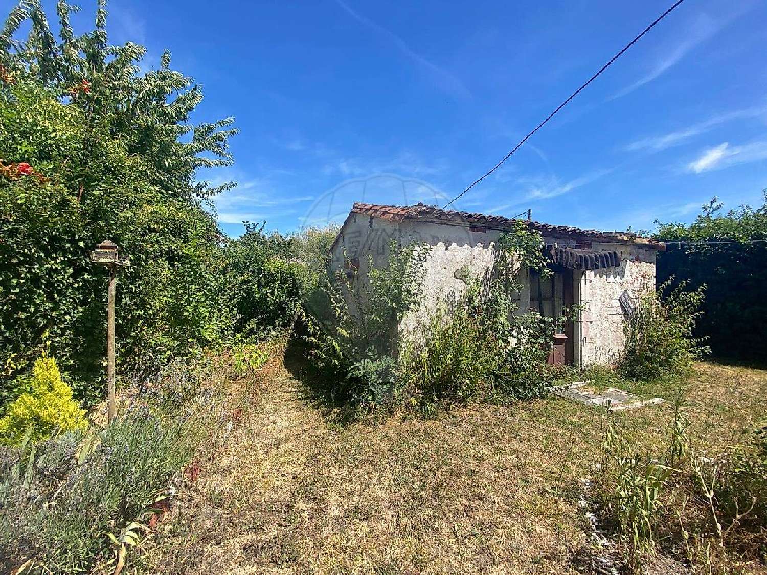  à vendre maison La Tremblade Charente-Maritime 5