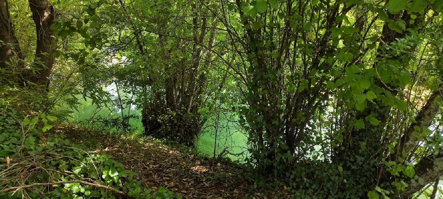 for sale house Lalinde Dordogne 7