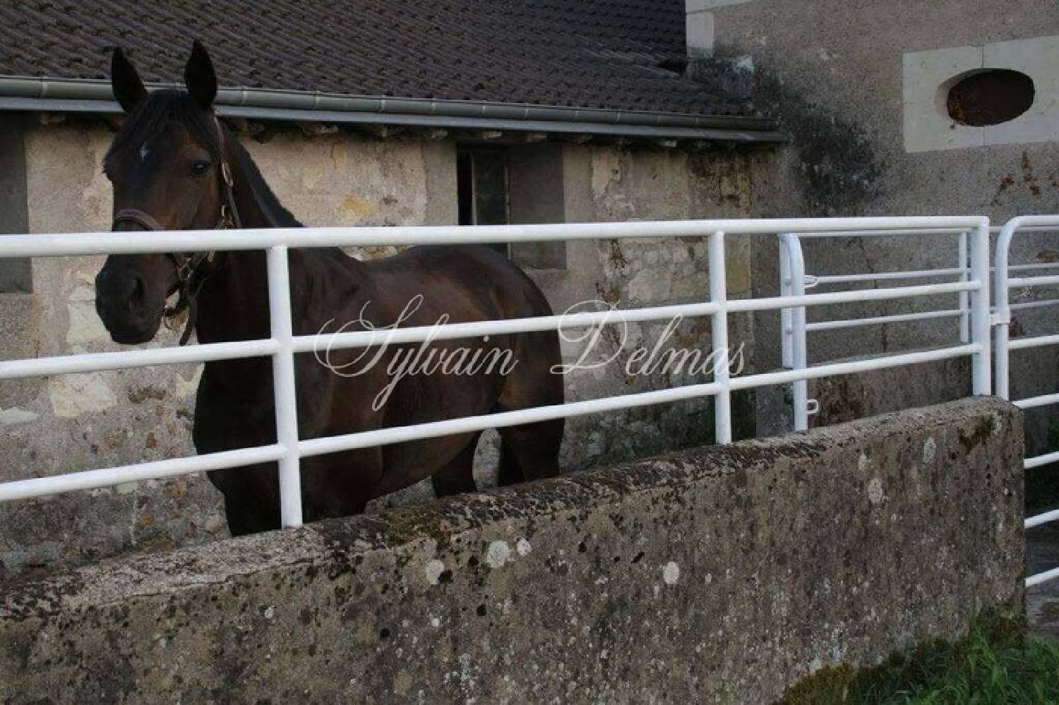 te koop huis Langeais Indre-et-Loire 6