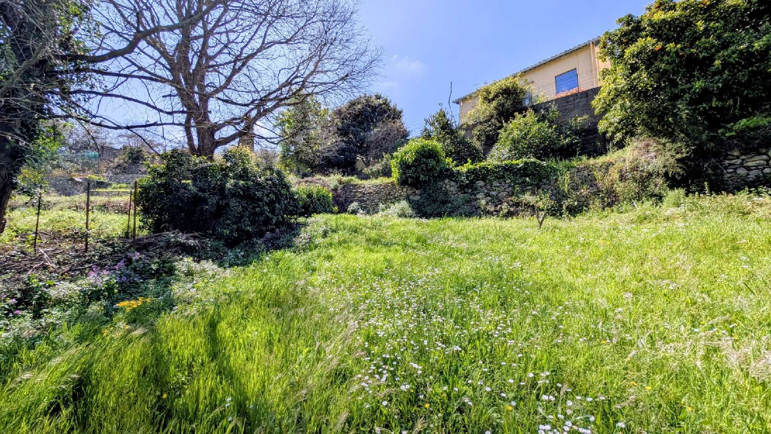  te koop huis Laroque-des-Albères Pyrénées-Orientales 1