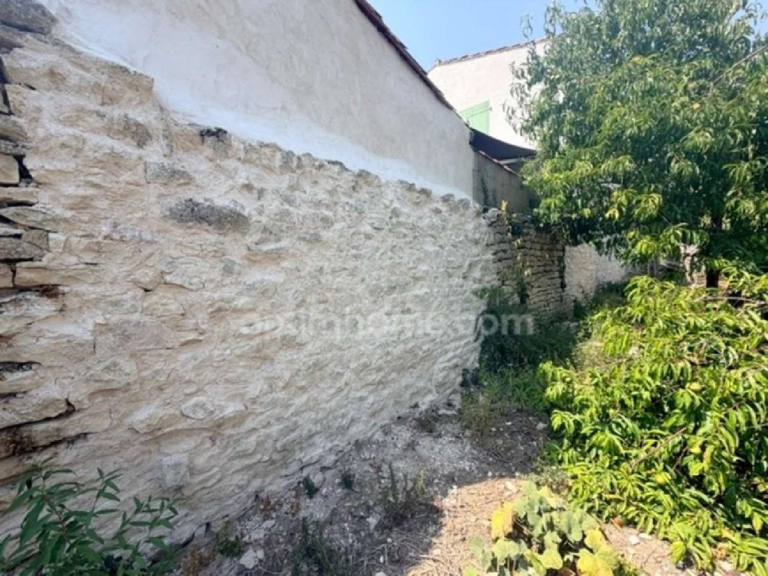 kaufen Haus Le Bois-Plage-en-Ré Charente-Maritime 7