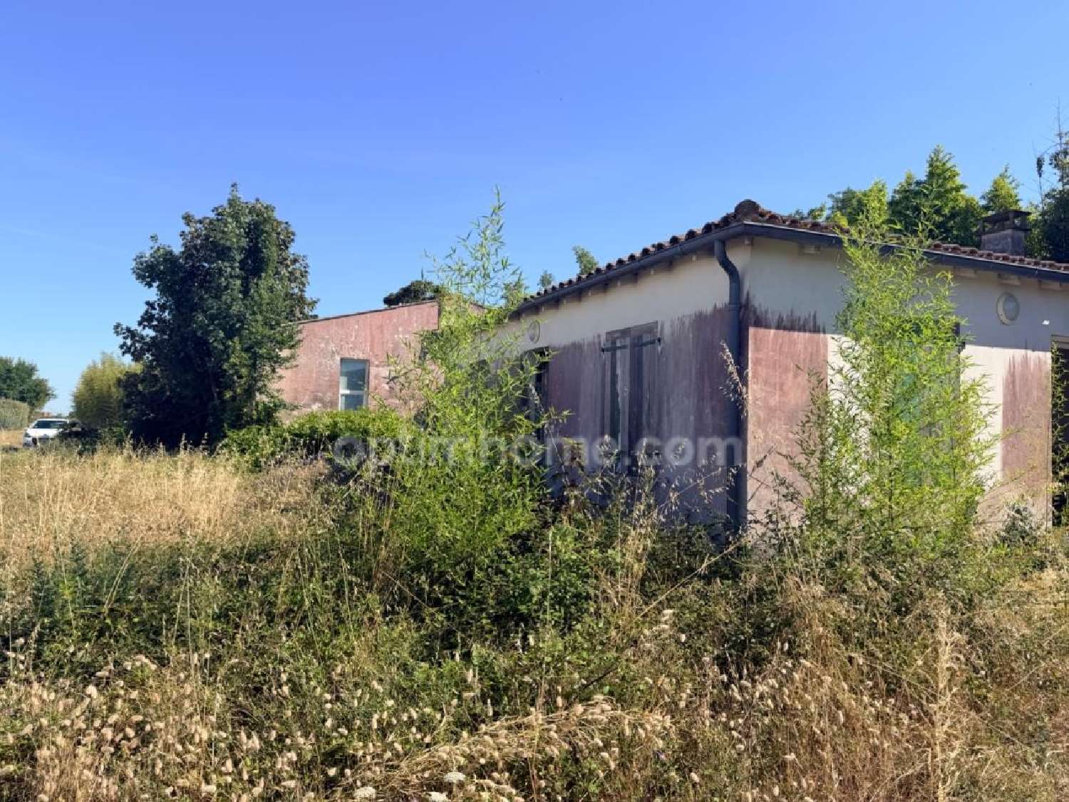  for sale house Le Bois-Plage-en-Ré Charente-Maritime 4