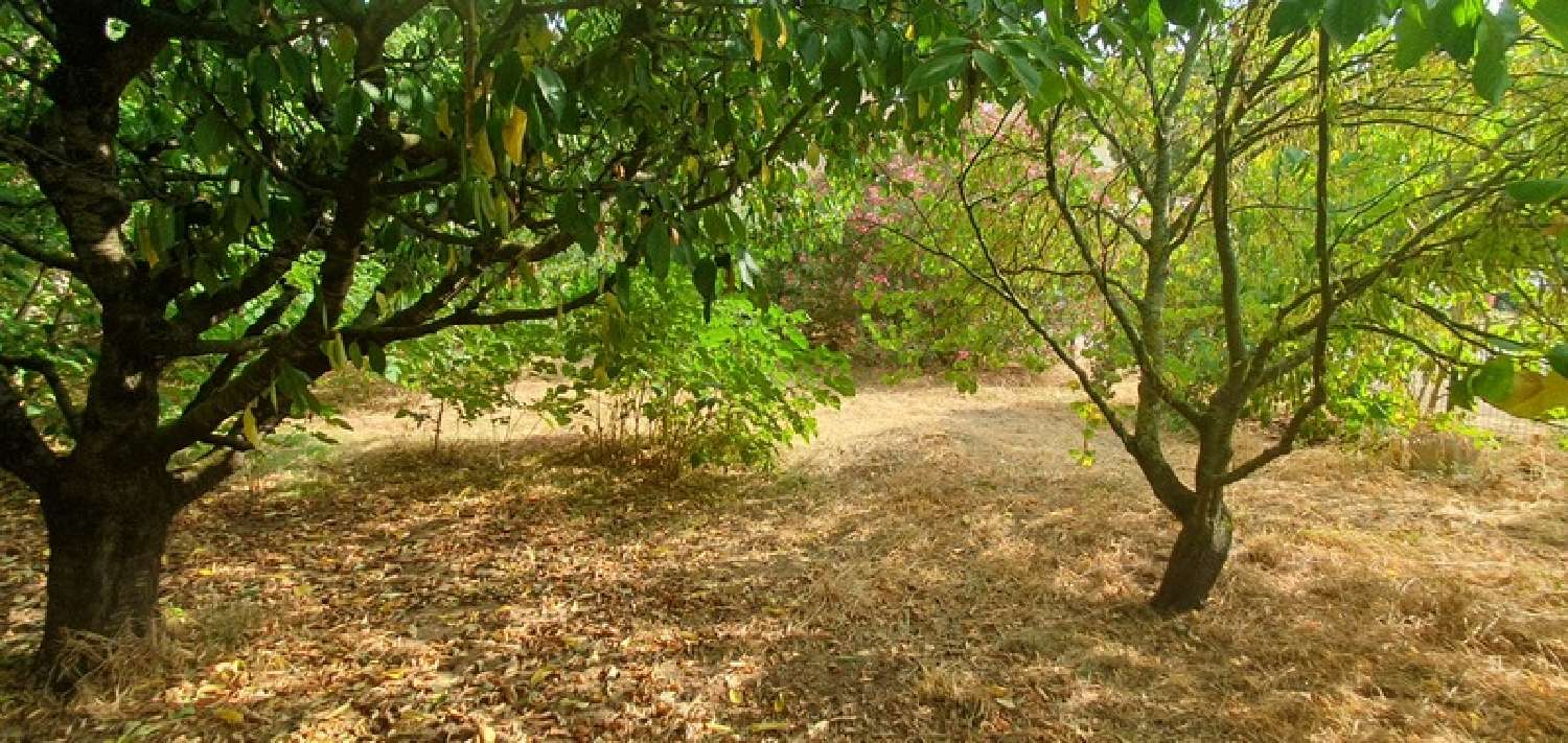  à vendre maison Le Bousquet-d'Orb Hérault 7