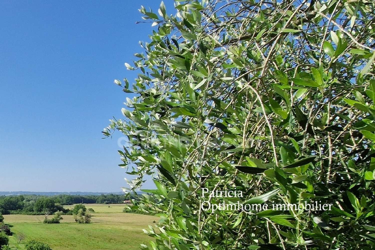 for sale house Le Fleix Dordogne 5