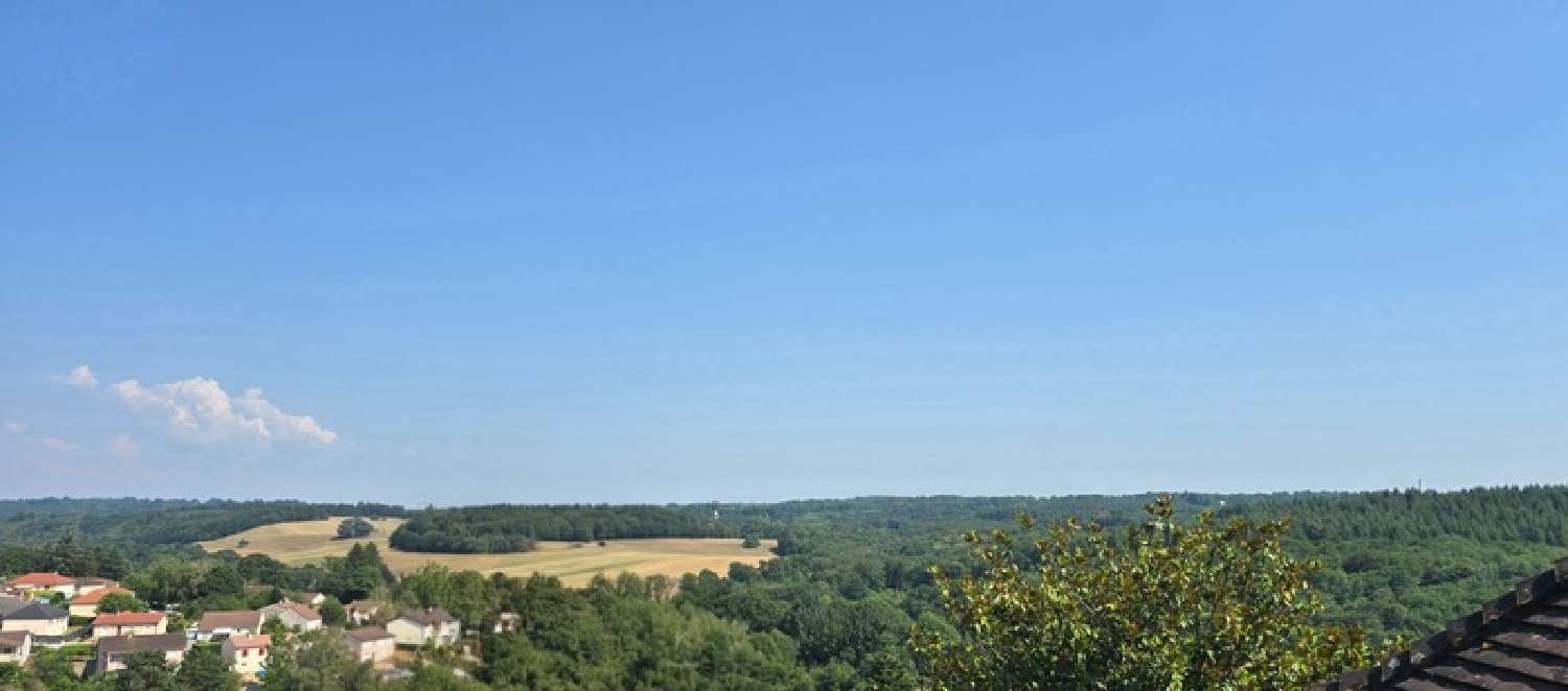 for sale house Le Palais-sur-Vienne Haute-Vienne 6