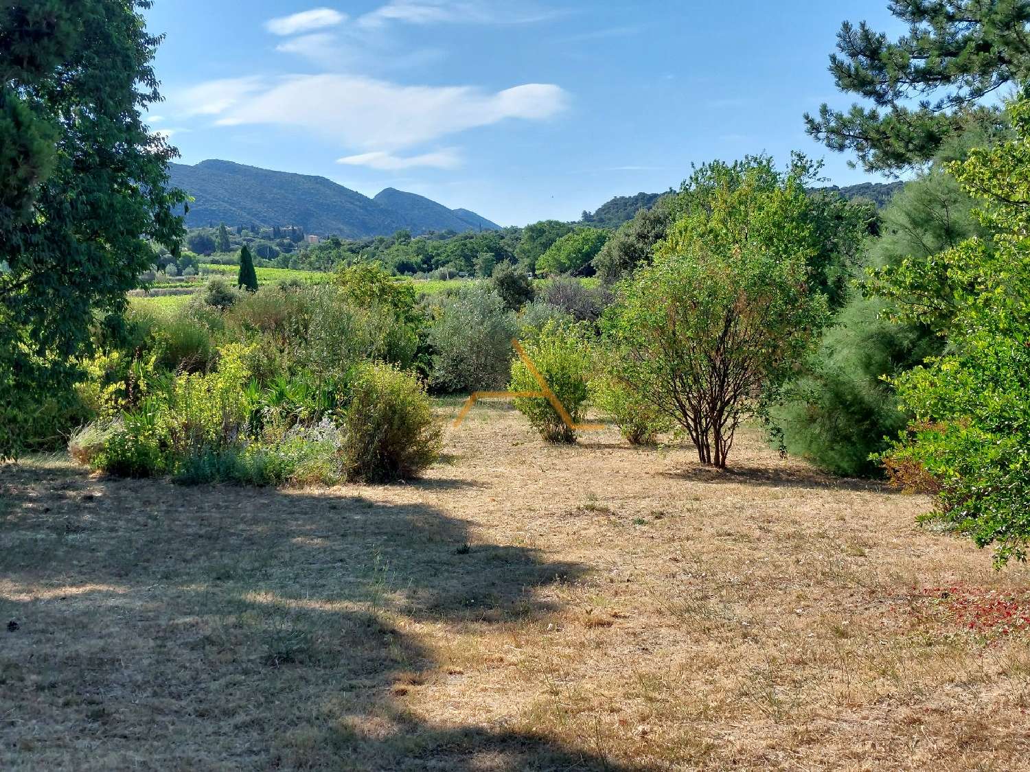  à vendre maison Le Pègue Drôme 2