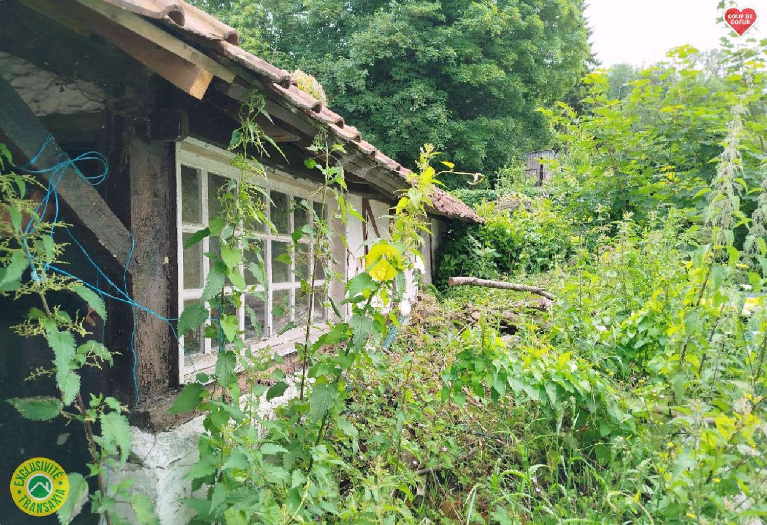 for sale house Lebiez Pas-de-Calais 3
