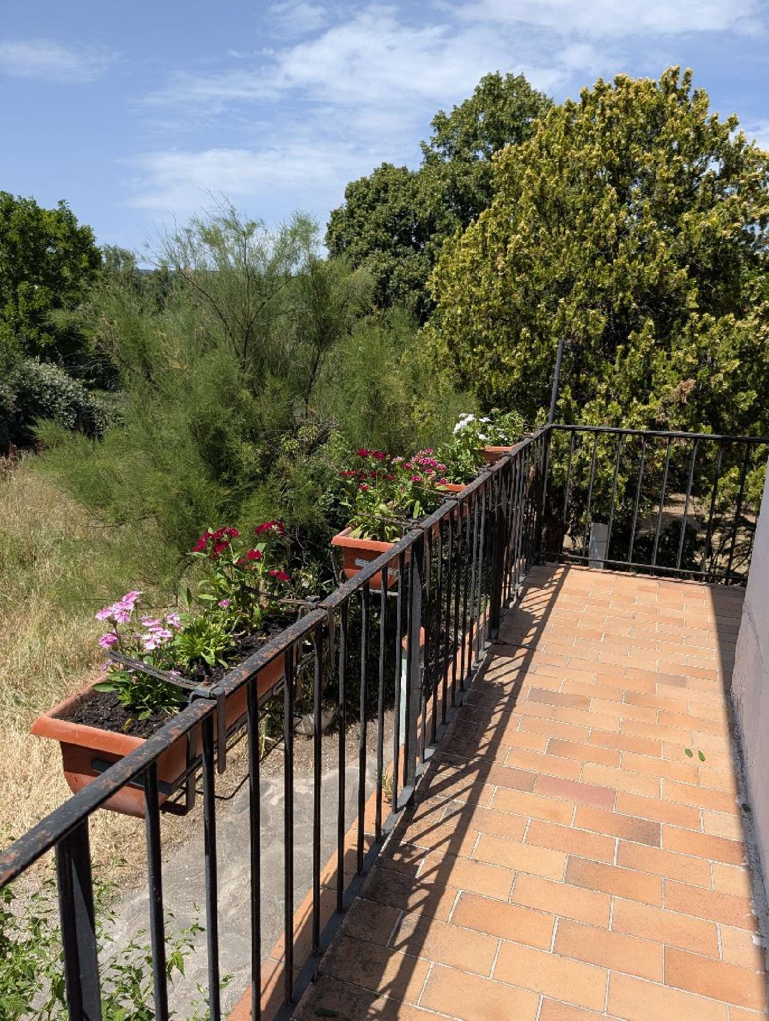 à vendre maison Les Aires Hérault 6