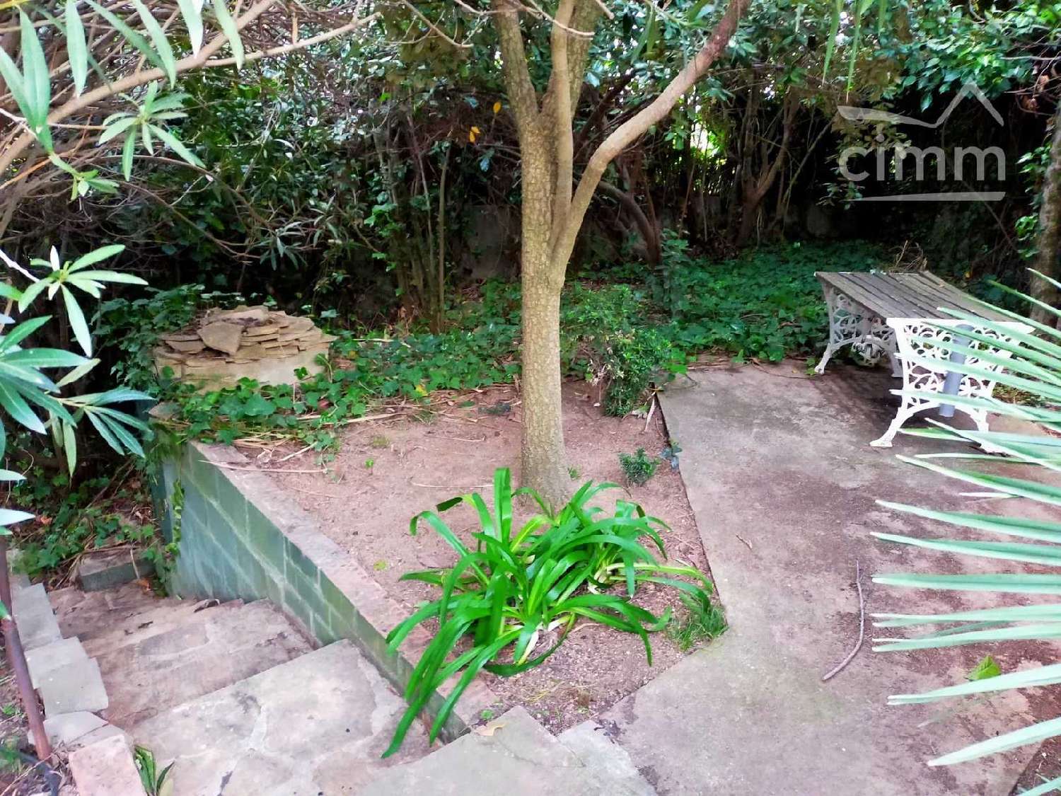  à vendre maison Les Essards Charente-Maritime 3