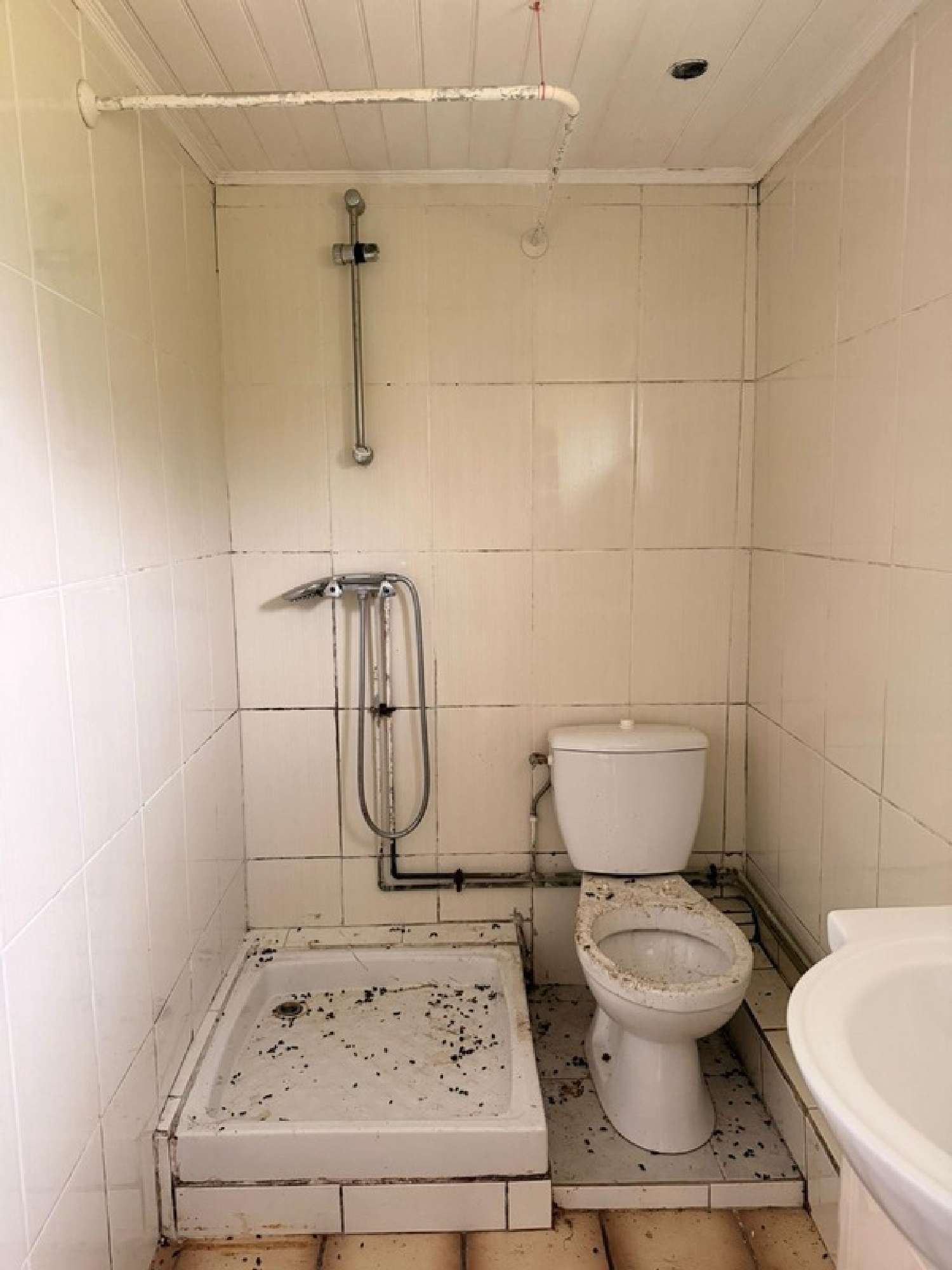 for sale house Lesparre-Médoc Gironde 6