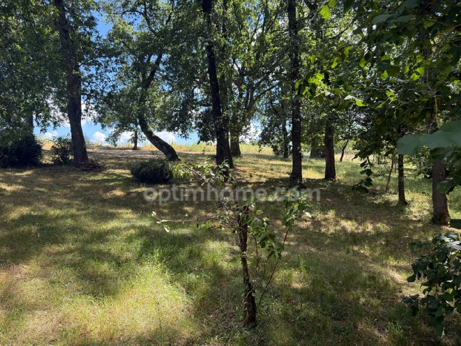 te koop huis Lévignac Haute-Garonne 3