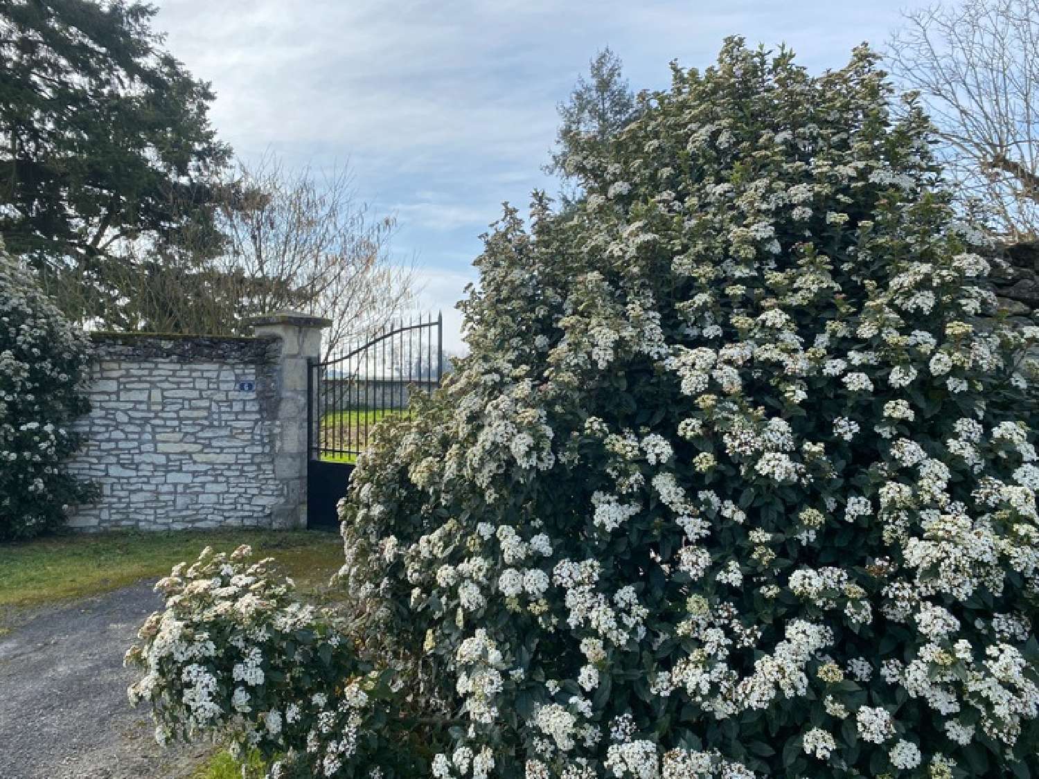 for sale house Ligré Indre-et-Loire 4