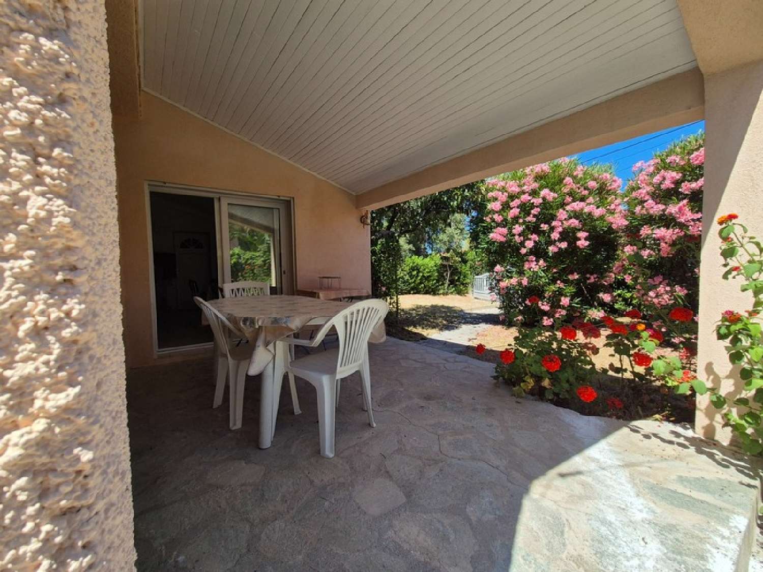 te koop huis Linguizzetta Haute-Corse 3