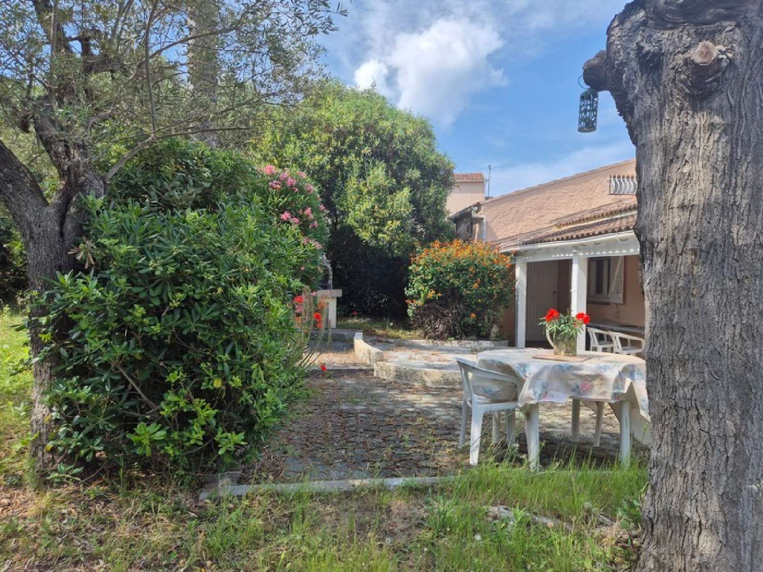 te koop huis Linguizzetta Haute-Corse 5