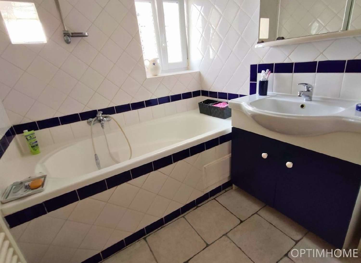 kaufen Haus Loire-les-Marais Charente-Maritime 5