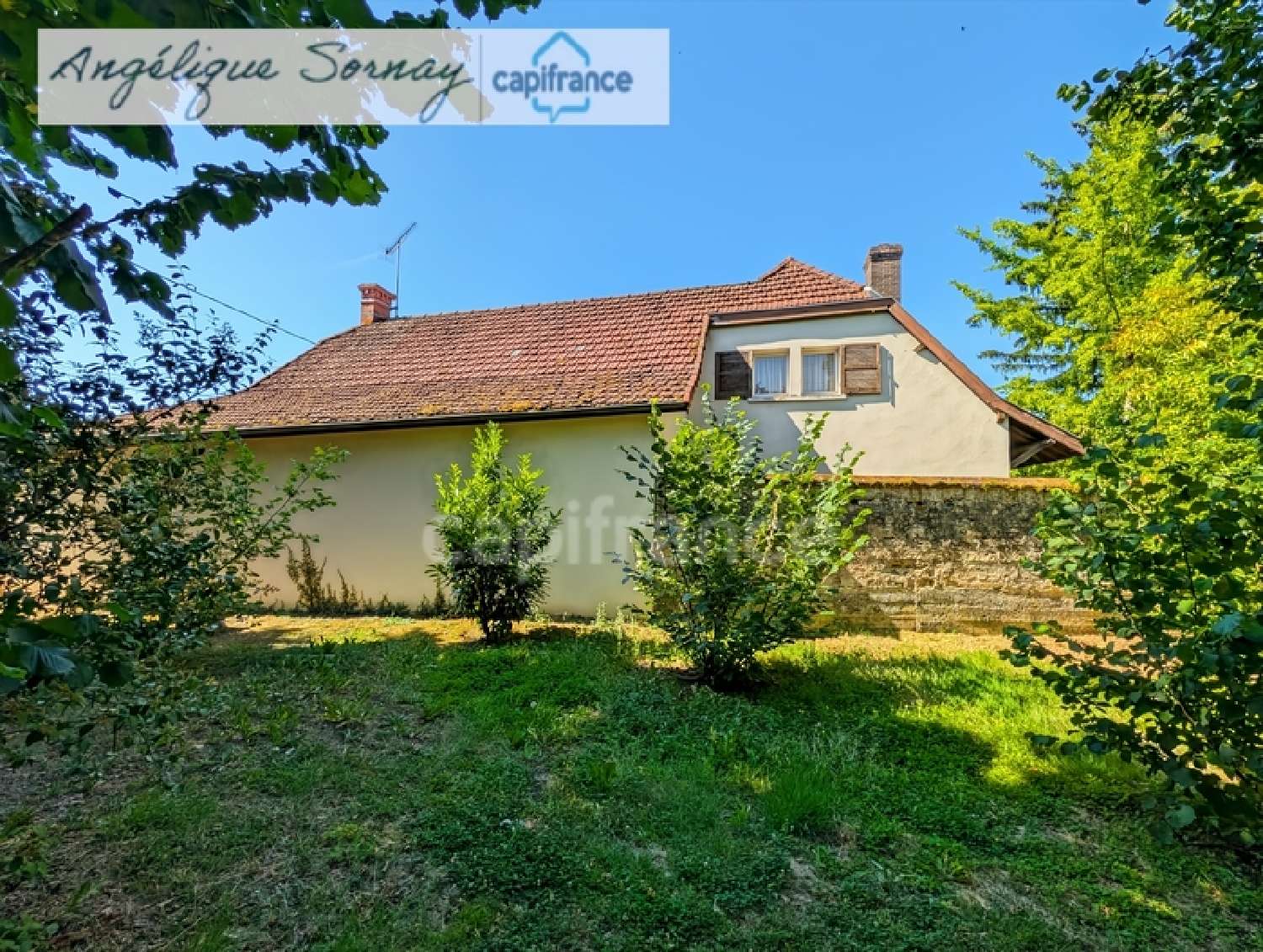 te koop huis Louhans Saône-et-Loire 3