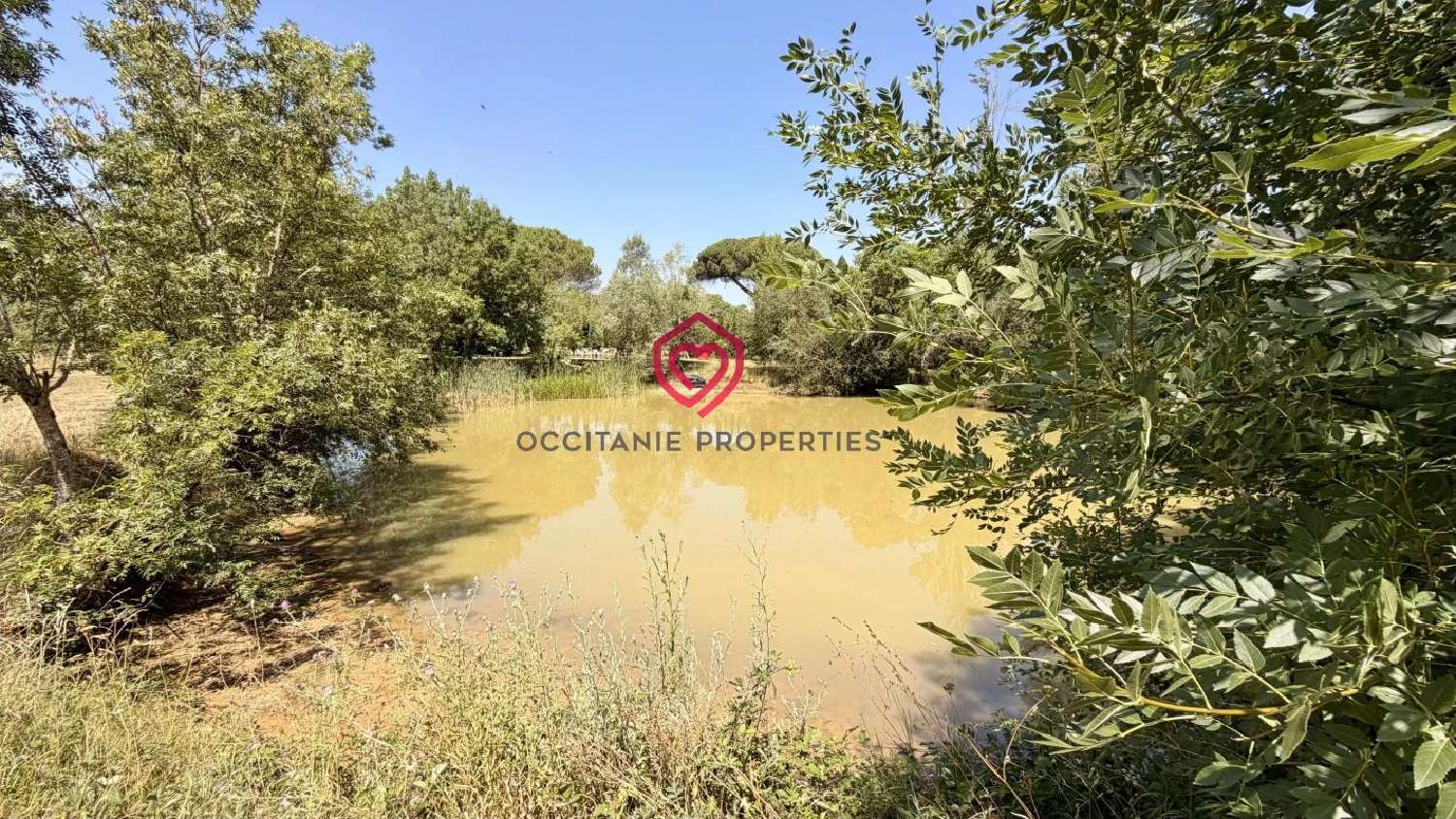  for sale house Lussan Gers 6