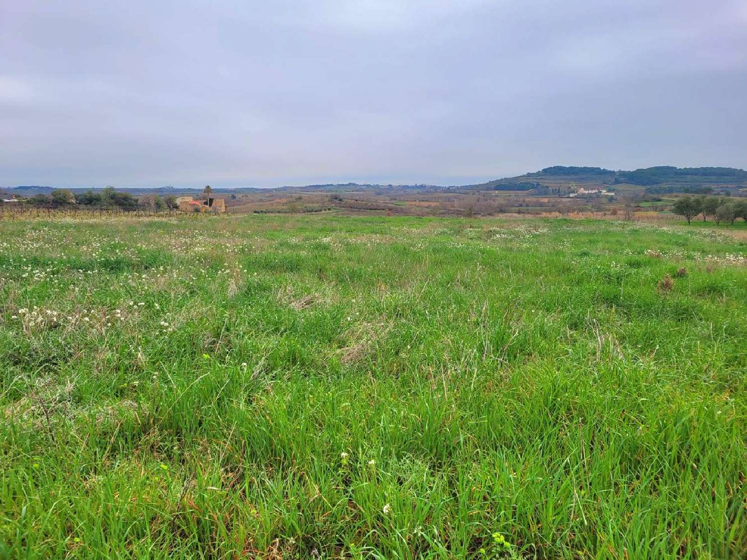 à vendre maison Magalas Hérault 5