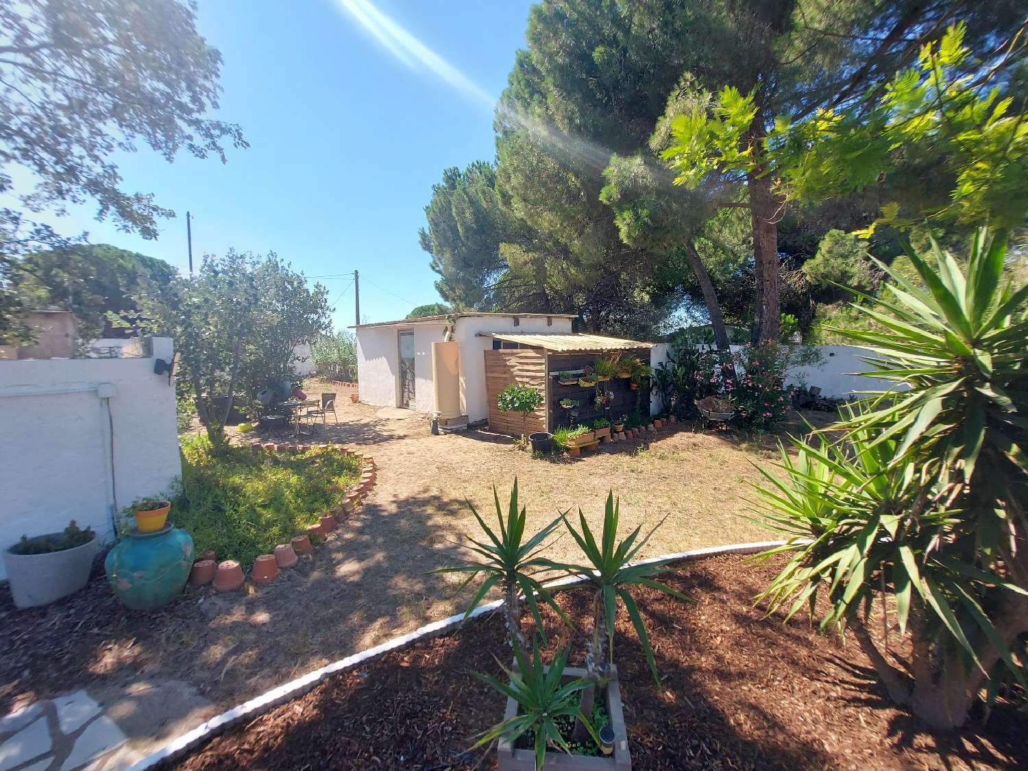 te koop huis Marseillan Hérault 5