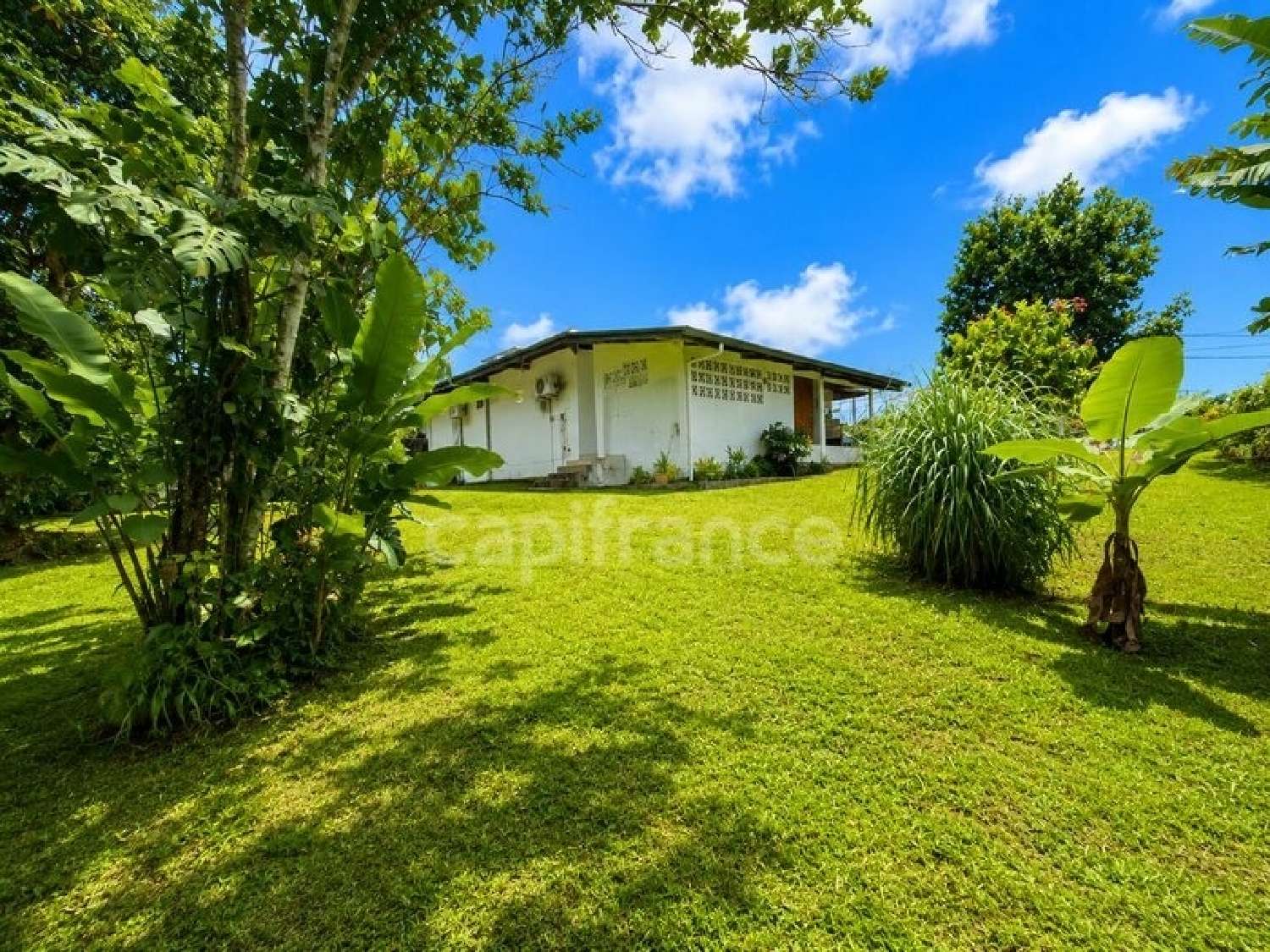  kaufen Haus Matoury Guyane 4