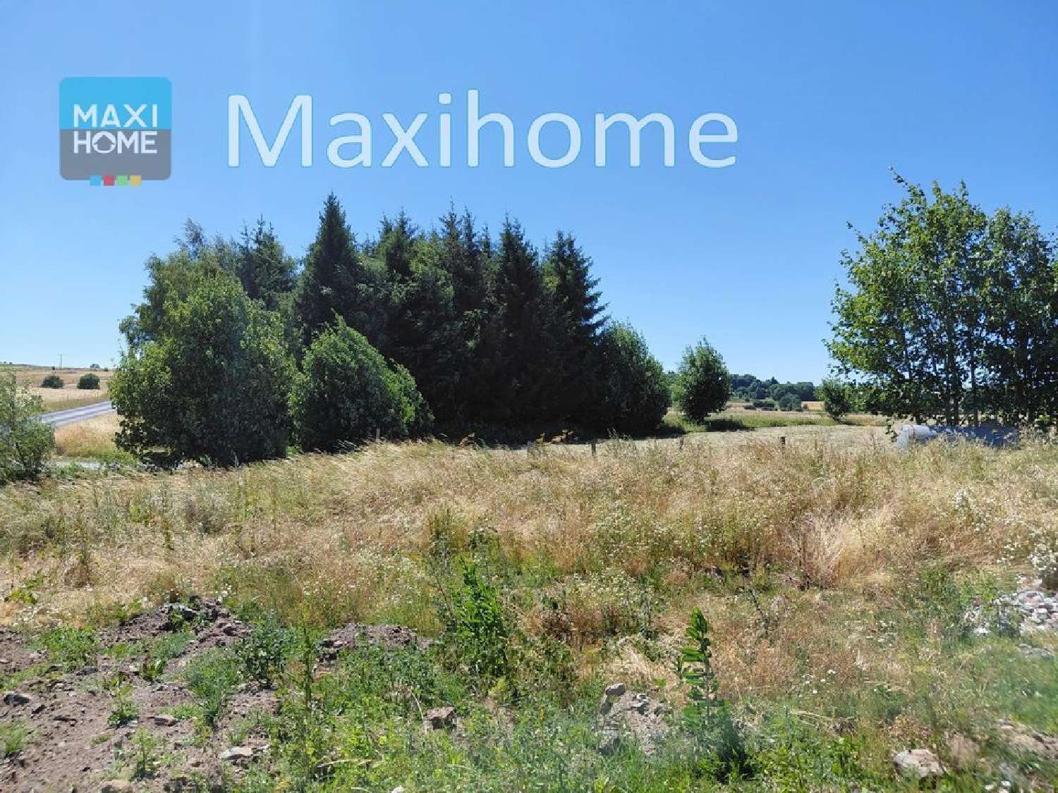 te koop huis Mazet-Saint-Voy Haute-Loire 1