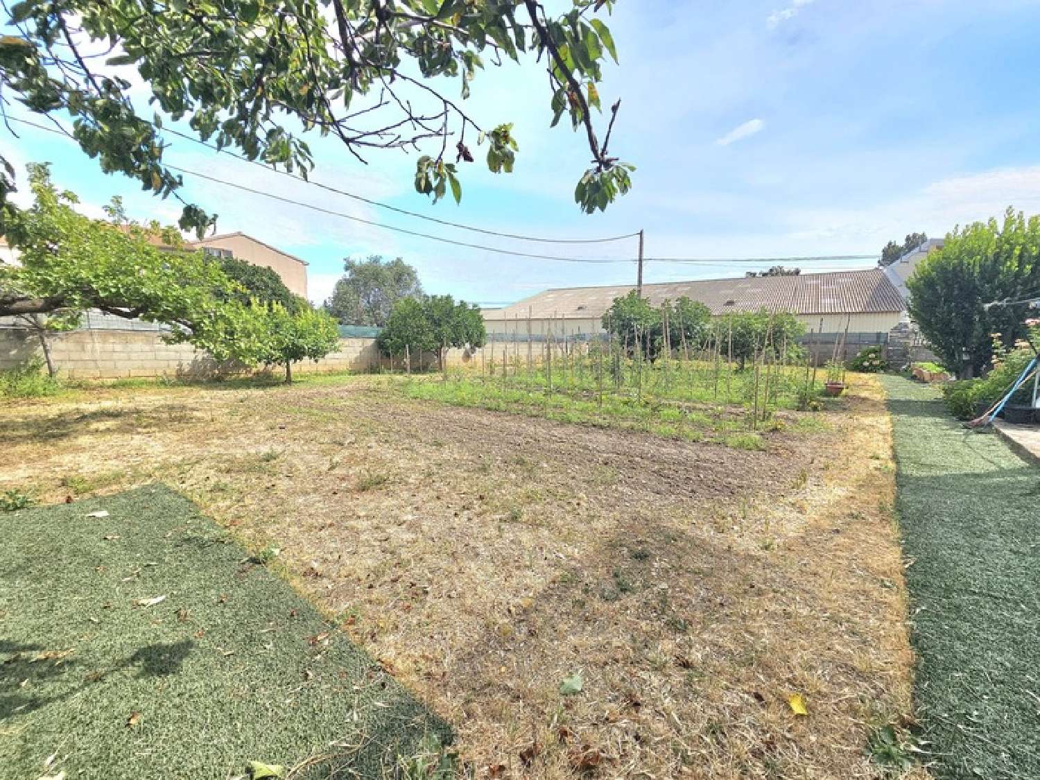  te koop huis Monte Haute-Corse 2