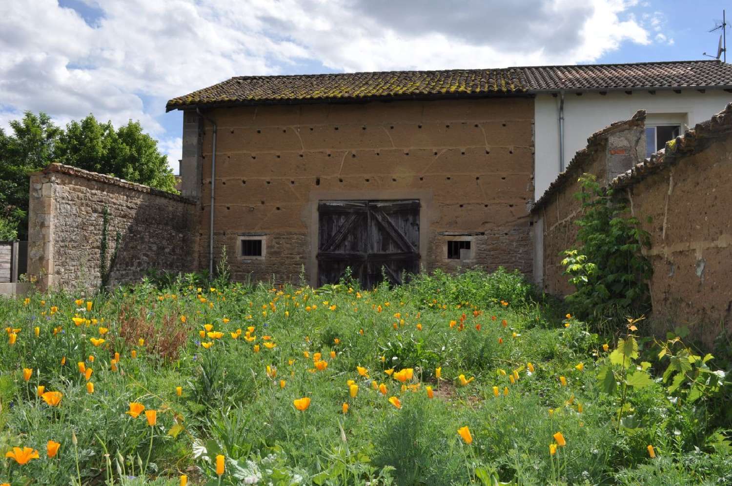 à vendre maison Montmerle-sur-Saône Ain 1