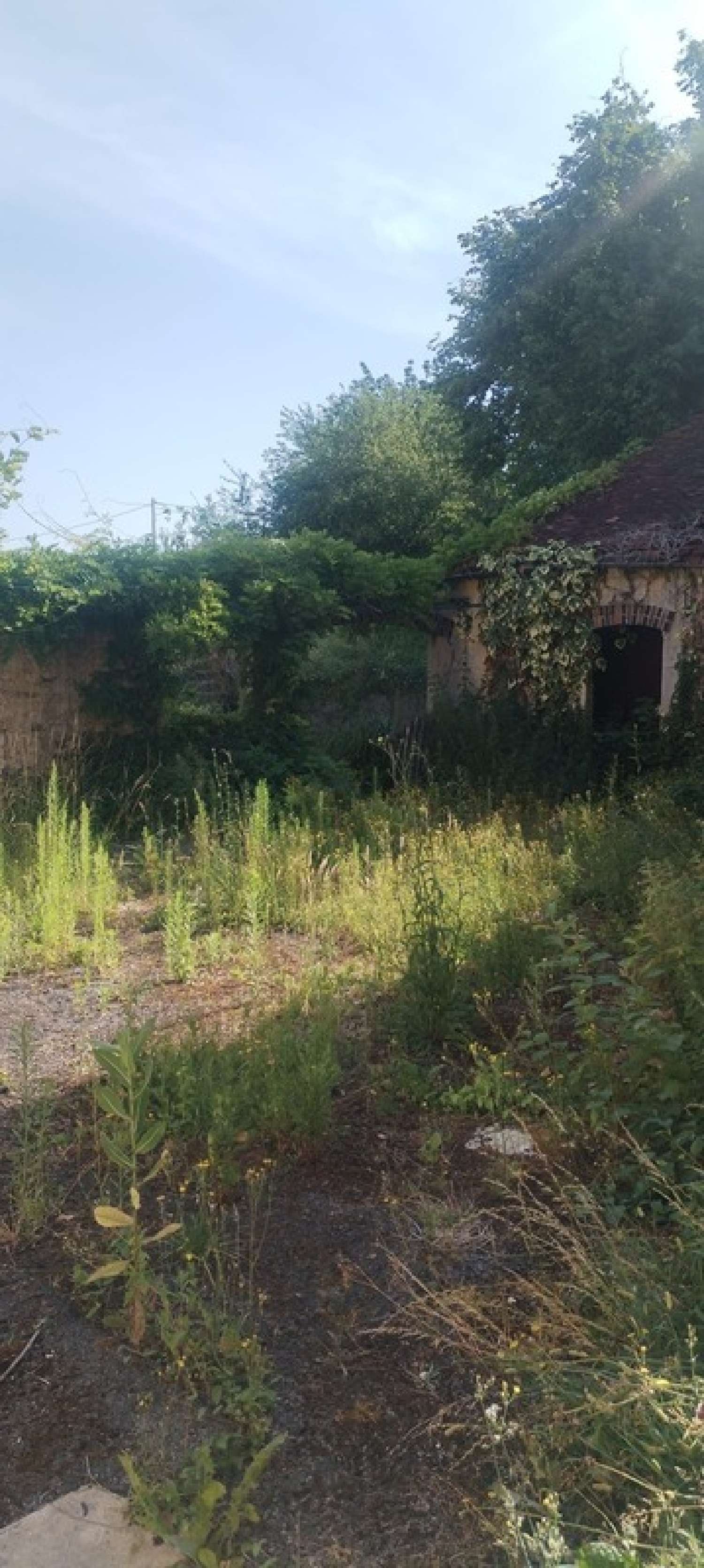 for sale house Montmirail Marne 2