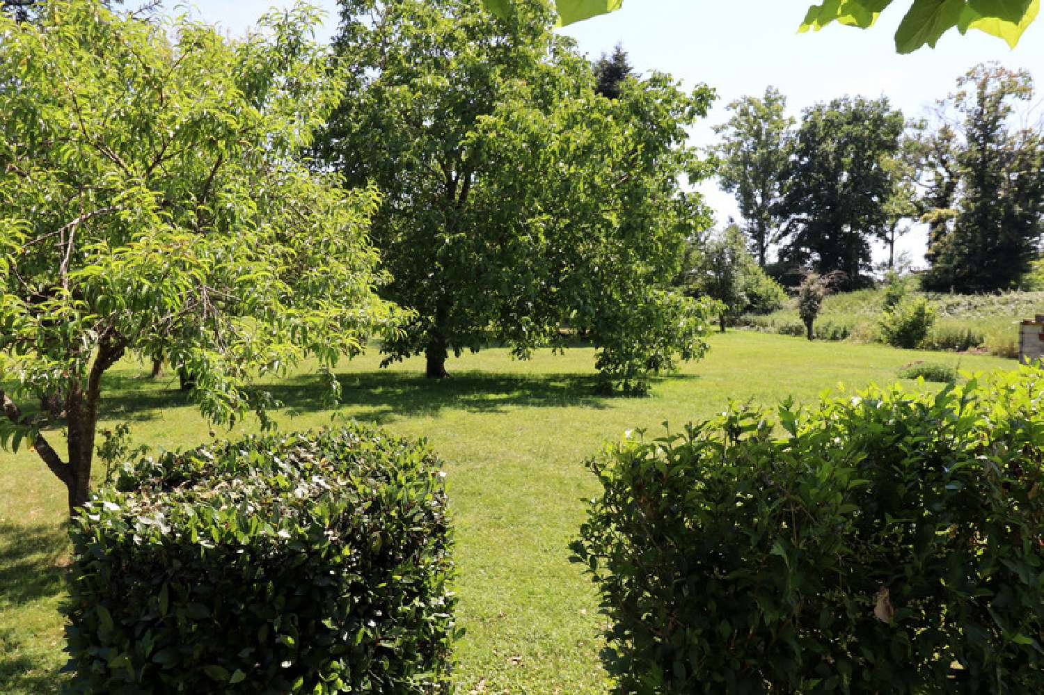  à vendre maison Montpont-en-Bresse Saône-et-Loire 2