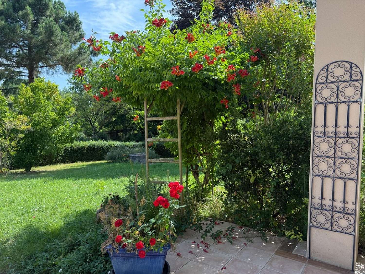 en venta casa Montvalen Tarn 6