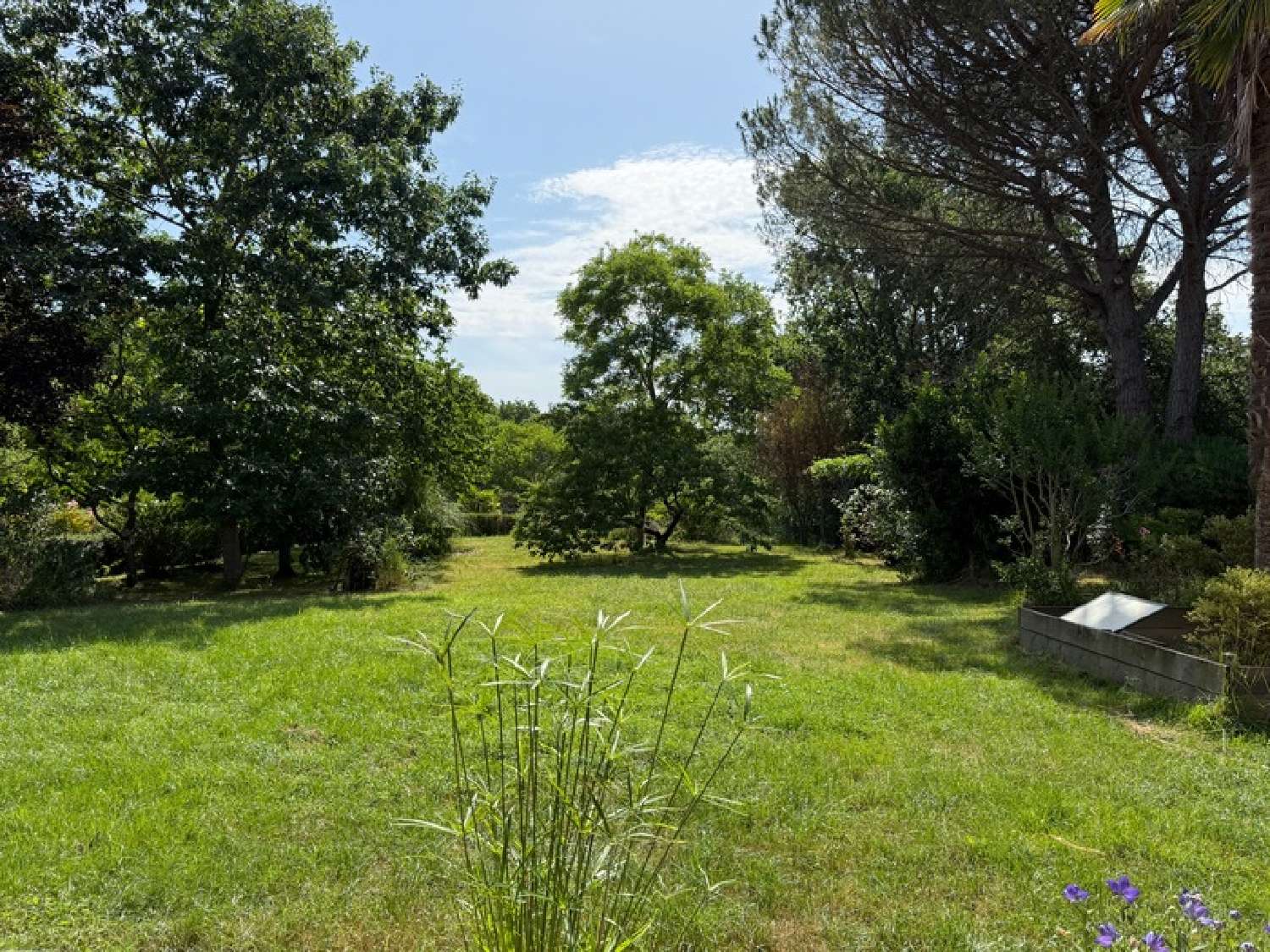  en venta casa Montvalen Tarn 7