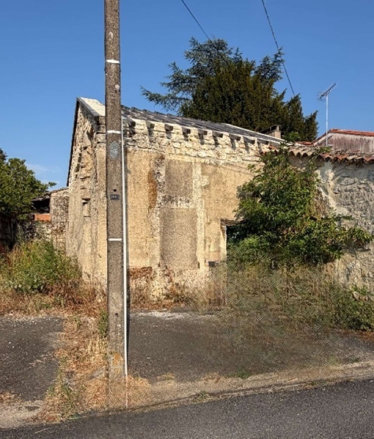 for sale house Mornac Charente 2