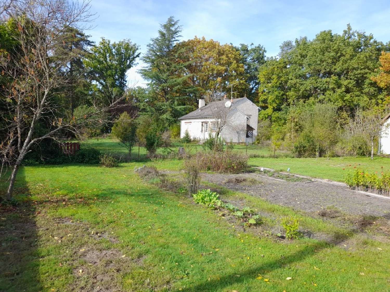 à vendre maison Nançay Cher 3