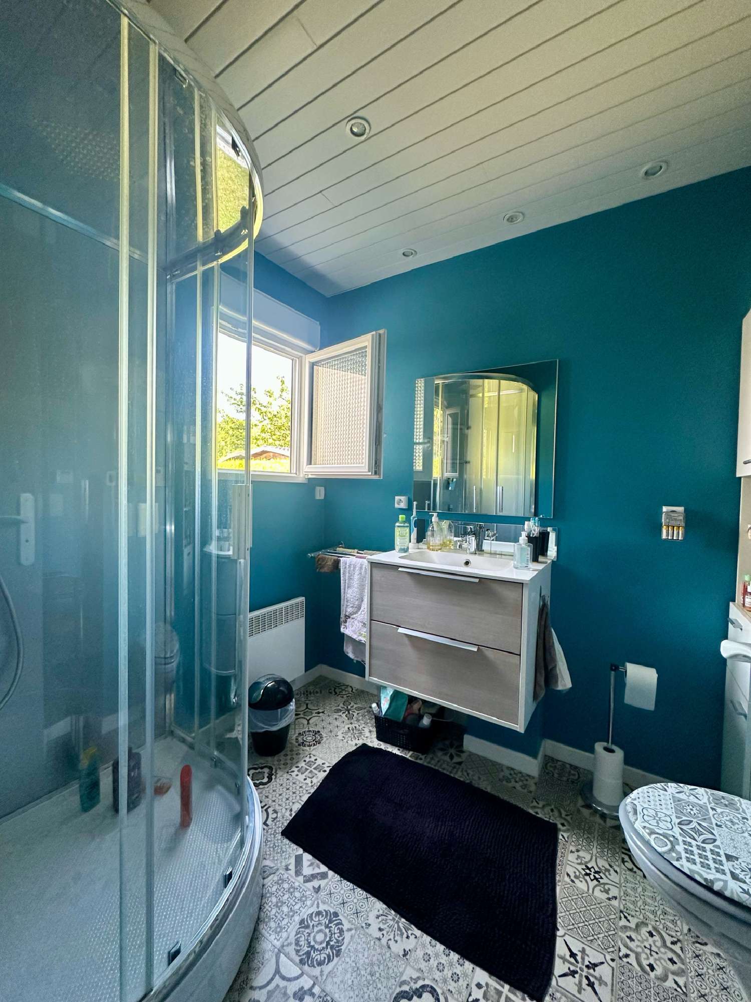 à vendre maison Neufchâtel-en-Bray Seine-Maritime 7
