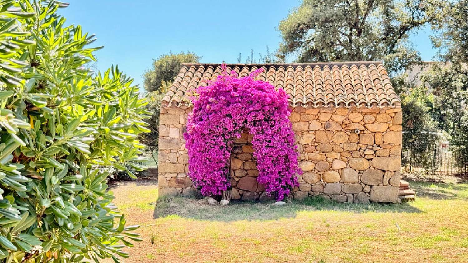  kaufen Haus Ocana Corse-du-Sud 1