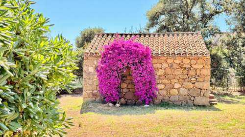 Ocana Corse-du-Sud Haus Bild 7380758