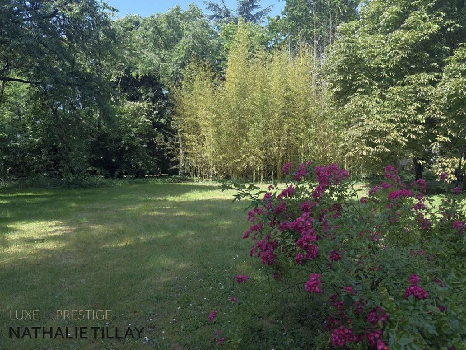 for sale house Orléans Loiret 4