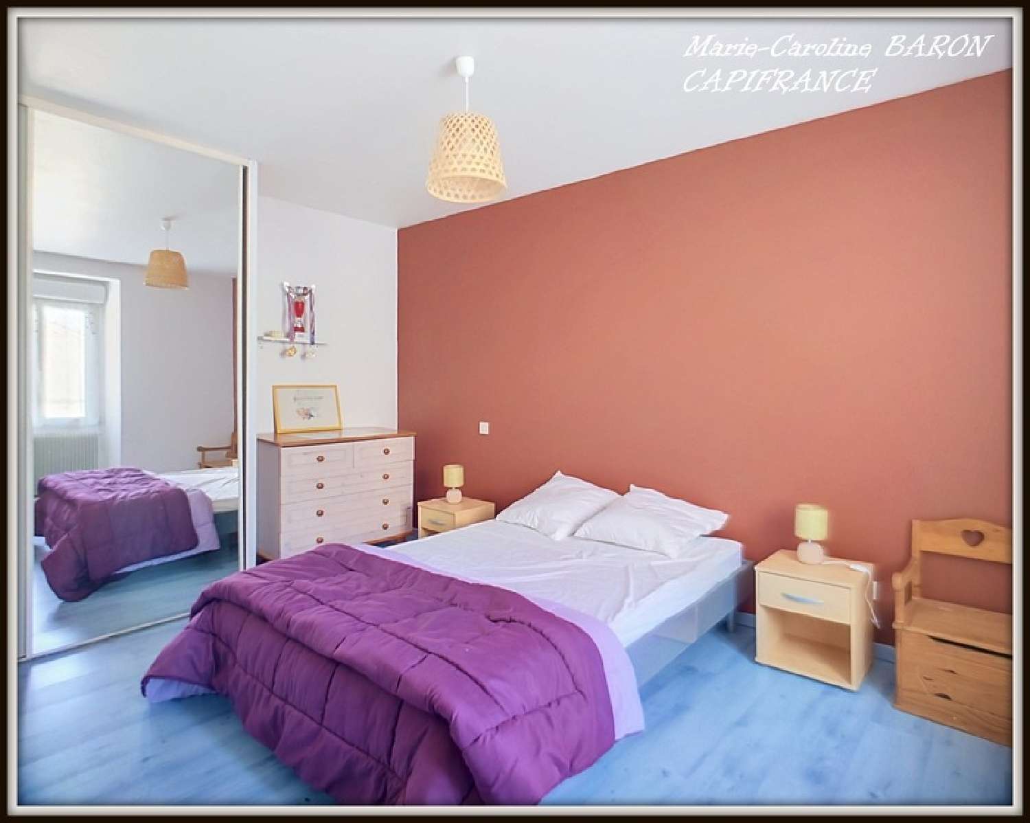 à vendre maison Palluau-sur-Indre Indre 7