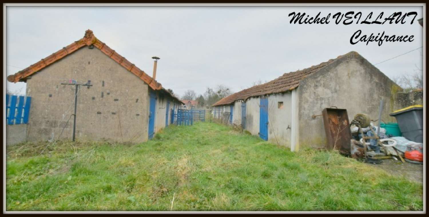  te koop huis Paray-le-Frésil Allier 3
