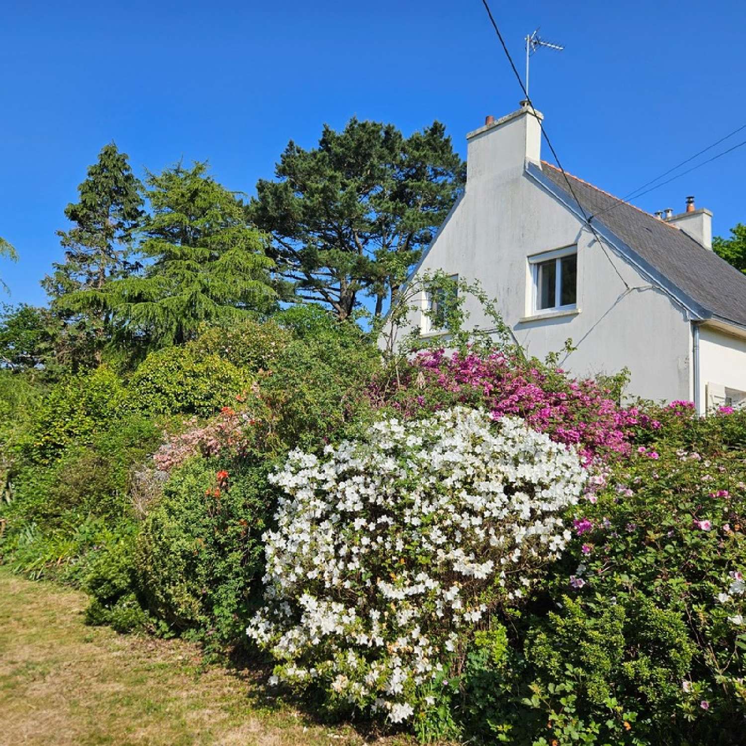 te koop huis Plogastel-Saint-Germain Finistère 2