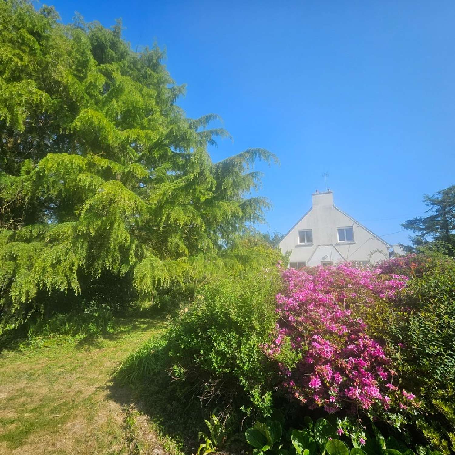 te koop huis Plogastel-Saint-Germain Finistère 3