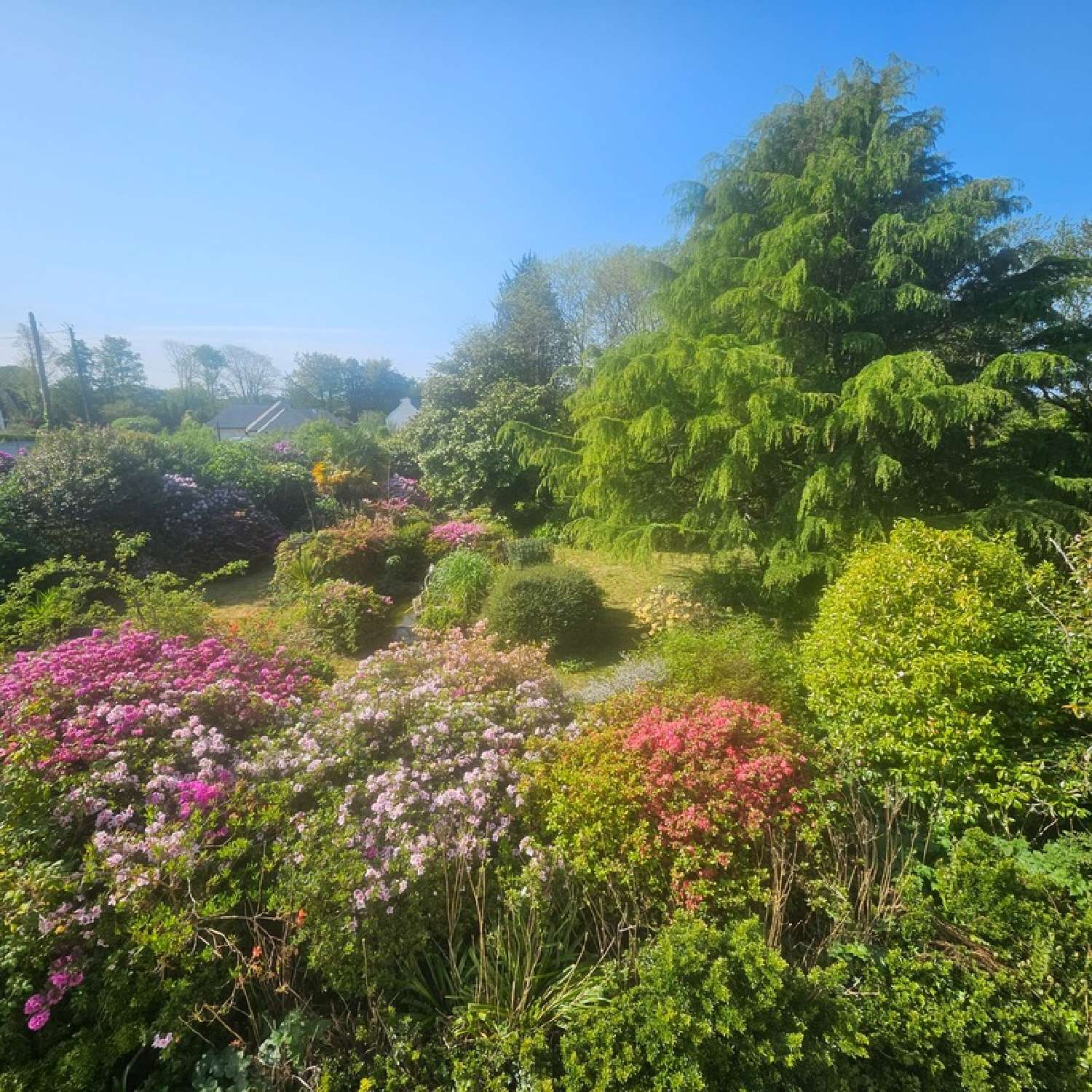 te koop huis Plogastel-Saint-Germain Finistère 6