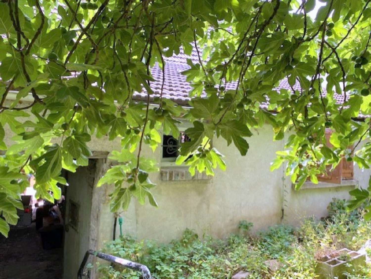 kaufen Haus Pont-sur-Yonne Yonne 3