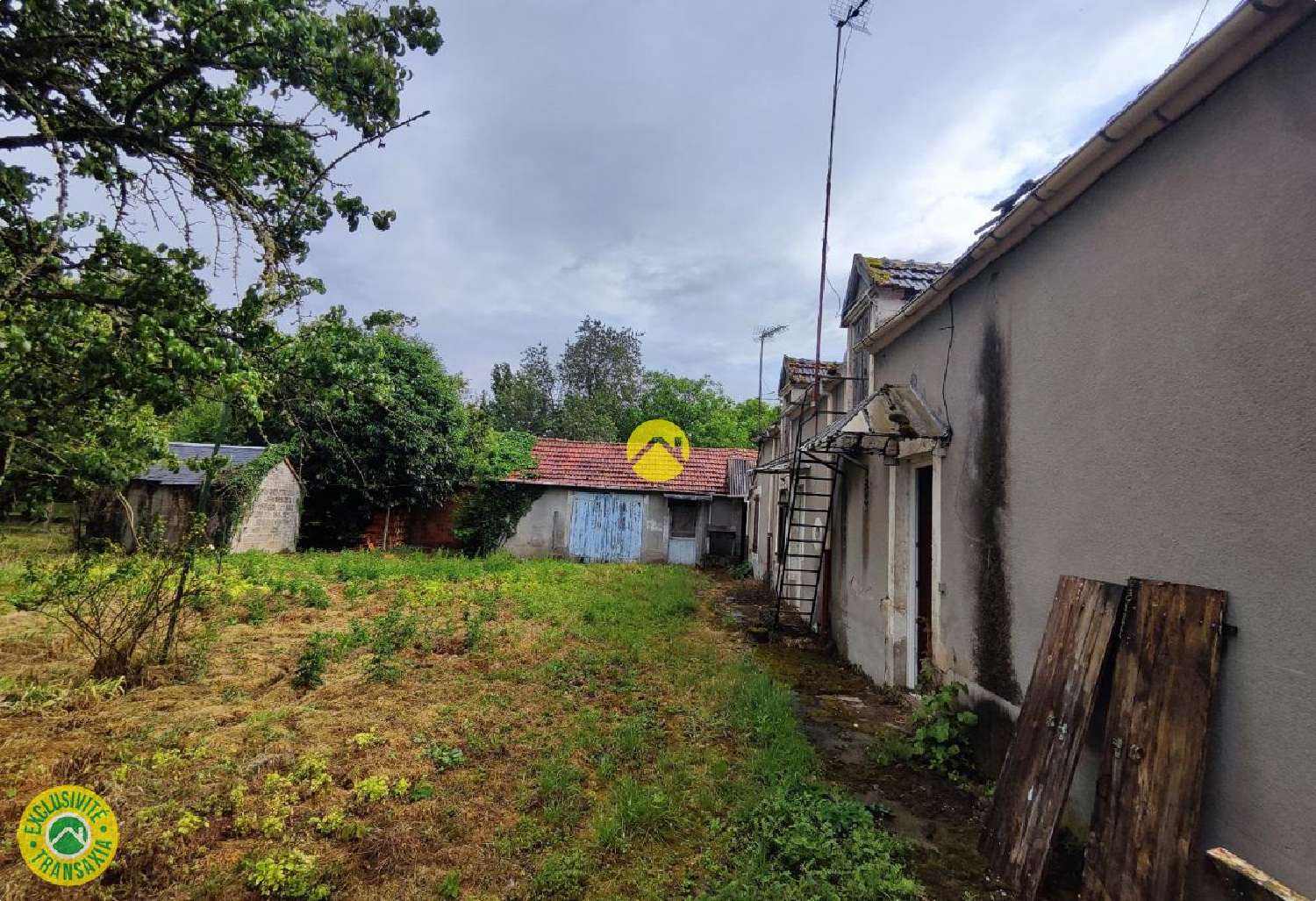 kaufen Haus Précy Cher 2