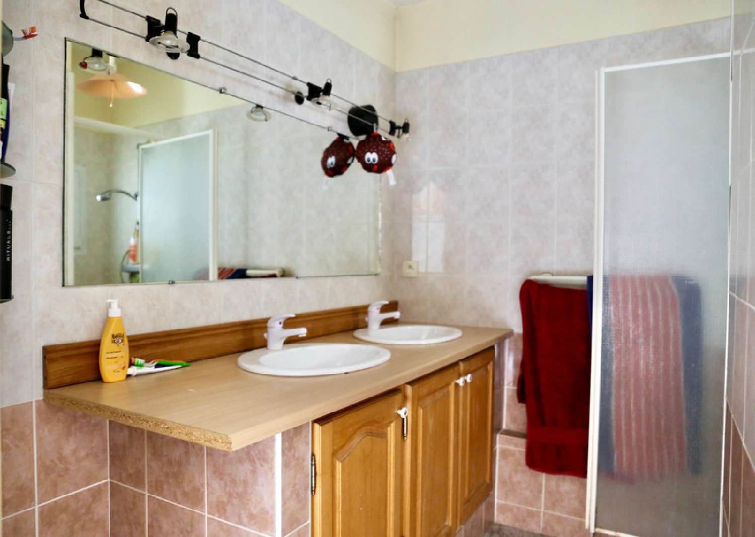 te koop huis Reims Marne 7